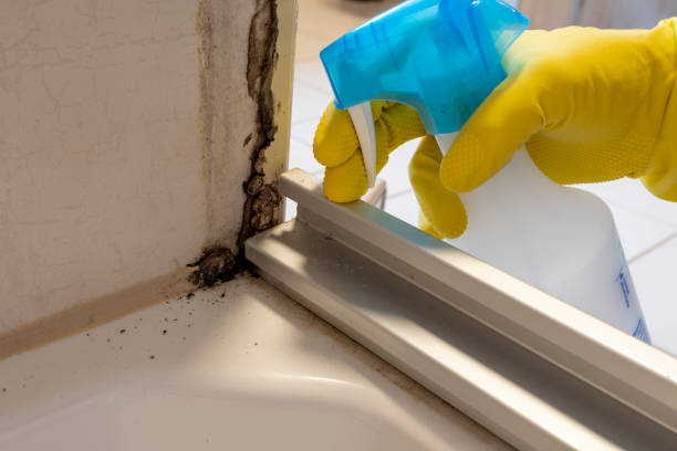 Great Falls, VA Mold Removal Company