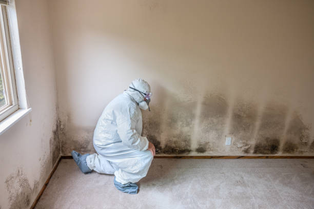 Water Damage Restoration in Great Falls, VA