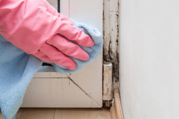 Best Mold Testing  in Great Falls, VA